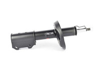 Shock absorber BSG 16-300-015