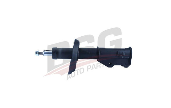 Shock absorber BSG 16-300-015, Image 2