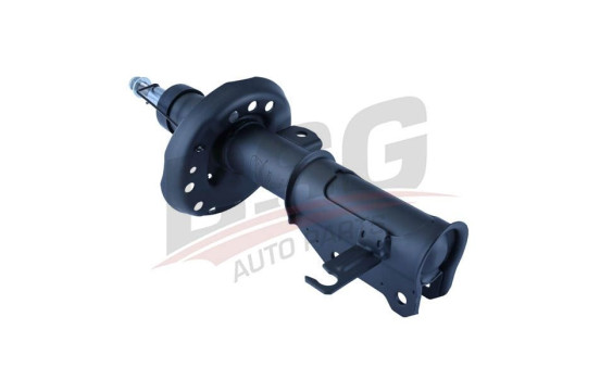 Shock absorber BSG 16-300-015, Image 4