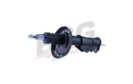 Shock absorber BSG 16-300-015, Image 5
