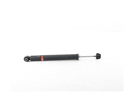 Shock absorber BSG 25-300-004