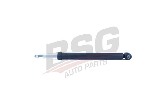 Shock absorber BSG 25-300-004, Image 2