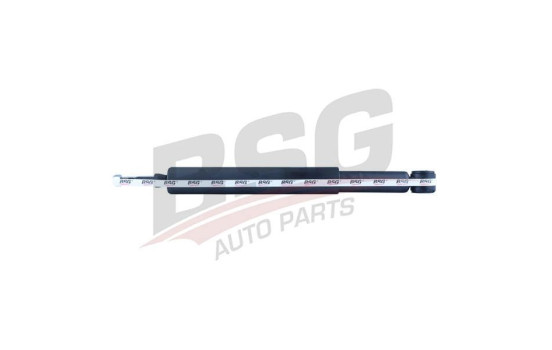 Shock absorber BSG 30-300-004, Image 2