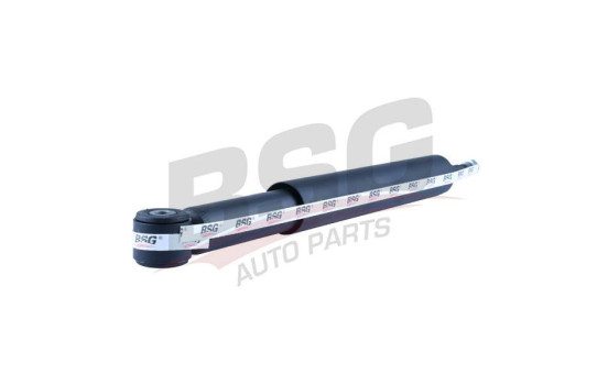 Shock absorber BSG 30-300-004, Image 5