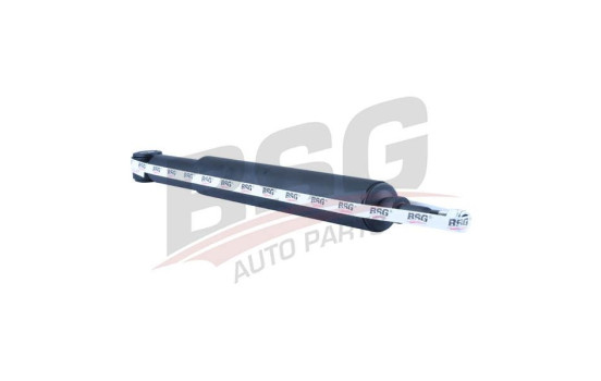 Shock absorber BSG 30-300-004, Image 6
