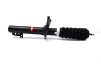 Shock absorber BSG 30-300-008