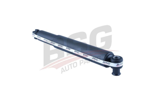 Shock absorber BSG 30-300-012, Image 4