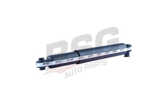 Shock absorber BSG 30-300-012, Image 6