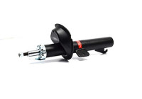 Shock absorber BSG 30-300-013