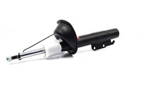 Shock absorber BSG 30-300-016