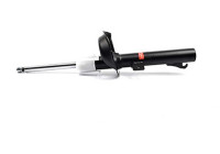Shock absorber BSG 30-300-020