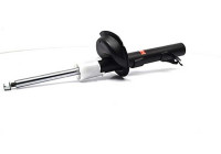 Shock absorber BSG 30-300-021