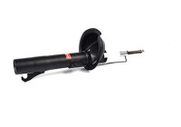 Shock absorber BSG 30-300-023