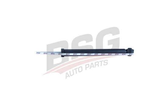 Shock absorber BSG 30-300-029
