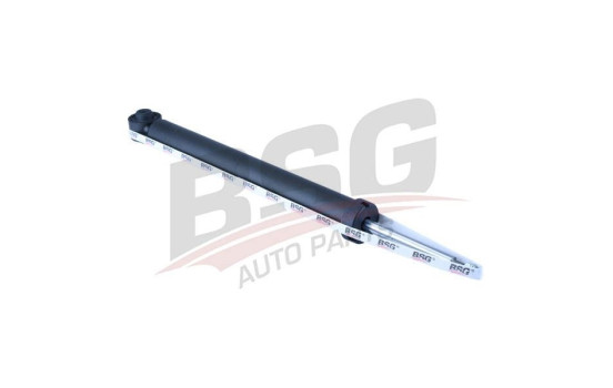 Shock absorber BSG 30-300-029, Image 2
