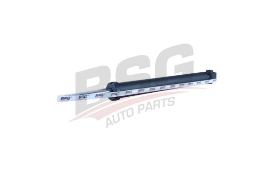 Shock absorber BSG 30-300-029, Image 4