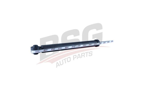Shock absorber BSG 30-300-029, Image 5