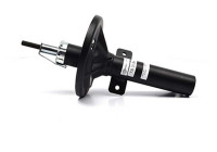 Shock absorber BSG 30-300-035