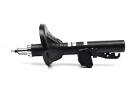 Shock absorber BSG 30-300-036