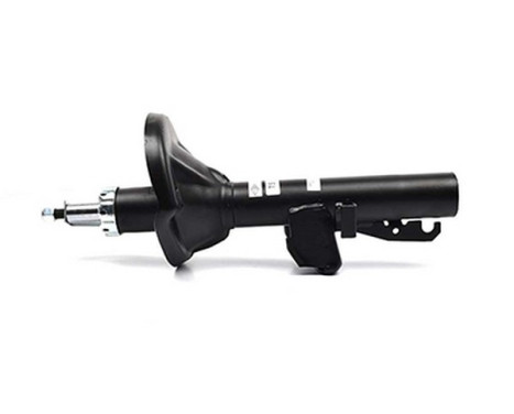 Shock absorber BSG 30-300-036