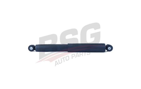 Shock absorber BSG 30-300-042, Image 2
