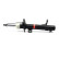 Shock absorber BSG 30-300-043