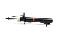 Shock absorber BSG 30-300-044