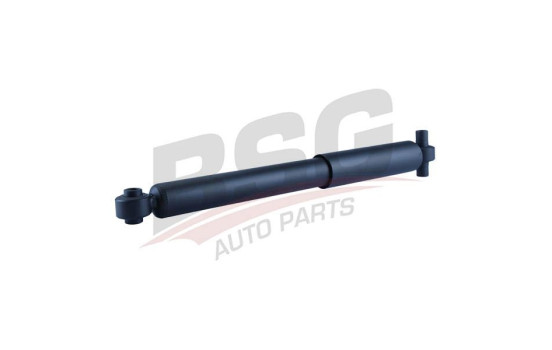Shock absorber BSG 30-300-047, Image 6