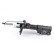 Shock absorber BSG 30-300-053
