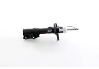 Shock absorber BSG 30-300-054