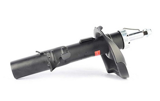 Shock absorber BSG 30-300-055