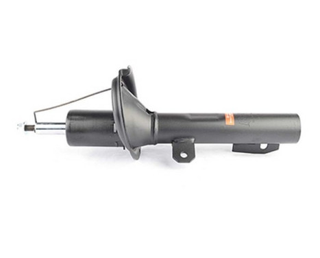 Shock absorber BSG 30-300-061