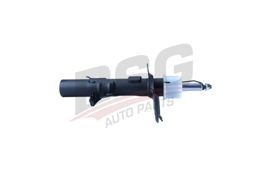 Shock absorber BSG 30-300-063, Image 2