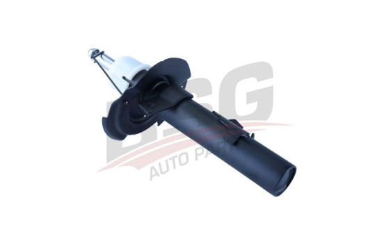 Shock absorber BSG 30-300-063, Image 4