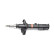 Shock absorber BSG 40-300-008, Thumbnail 2