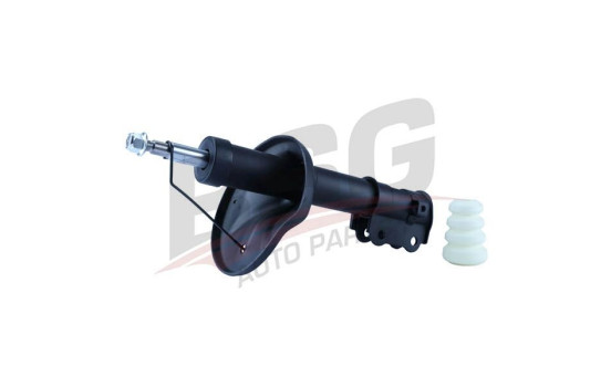 Shock absorber BSG 40-300-015, Image 5