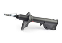 Shock absorber BSG 40-300-040