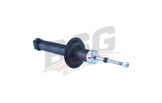 Shock absorber BSG 40-300-041, Image 3
