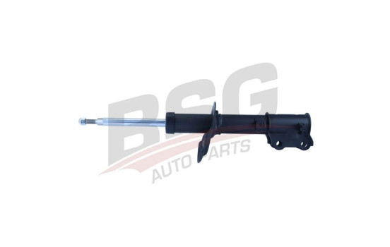 Shock absorber BSG 40-300-045, Image 2