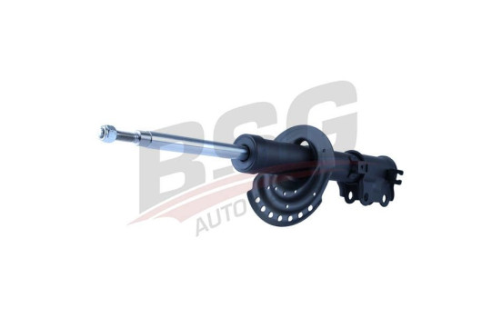 Shock absorber BSG 40-300-045, Image 5
