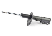 Shock absorber BSG 40-300-059