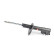 Shock absorber BSG 40-300-060