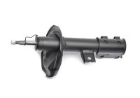Shock absorber BSG 40-300-063