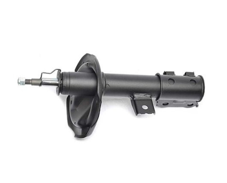 Shock absorber BSG 40-300-063, Image 2