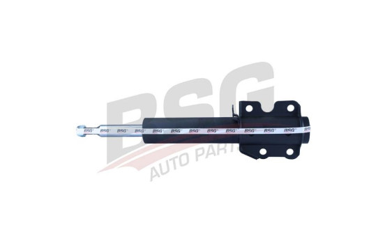 Shock absorber BSG 60-300-001, Image 2