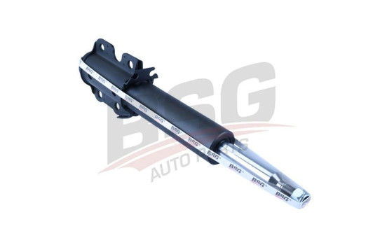 Shock absorber BSG 60-300-001, Image 3