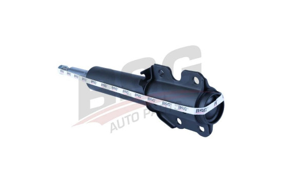 Shock absorber BSG 60-300-001, Image 4