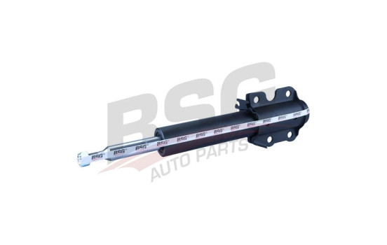 Shock absorber BSG 60-300-001, Image 5