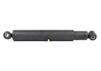 Shock absorber BSG 60-300-007