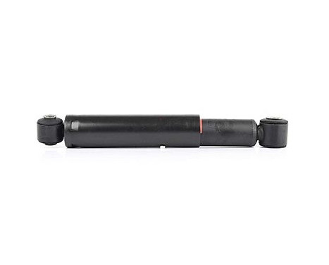 Shock absorber BSG 60-300-010, Image 2